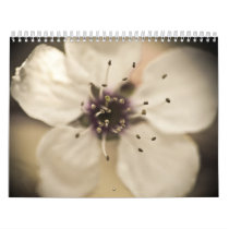Photography Calendar by lindseymhemphill Photography Calendar