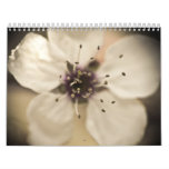 Photography Calendar
