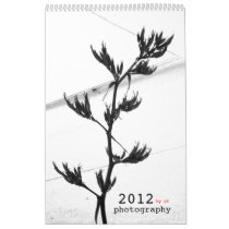 photography calendar