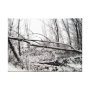 photography wrappedcanvas