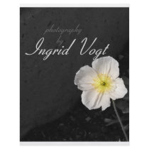 photography flyers