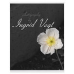 photography flyers