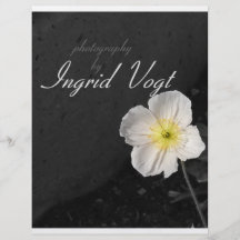 photography flyers