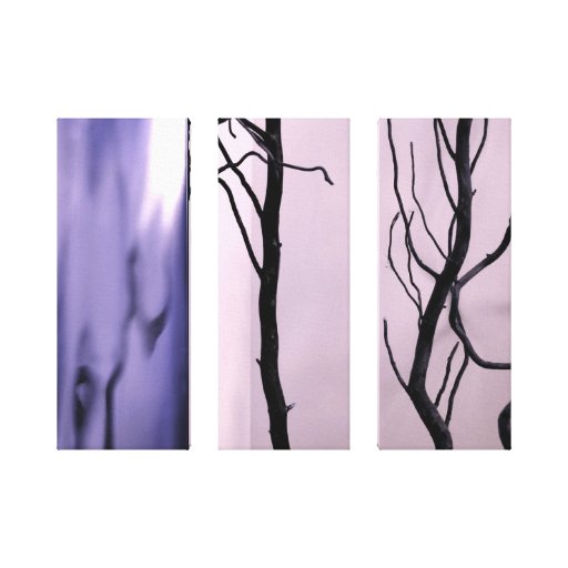 photography gallery wrap canvas