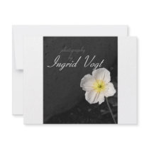 photography invitations