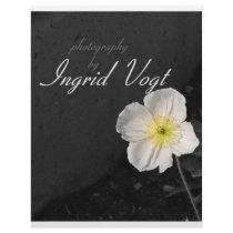 photography letterhead