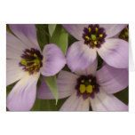 Photography Note Card