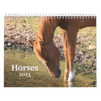 Photography of Horses Calendar