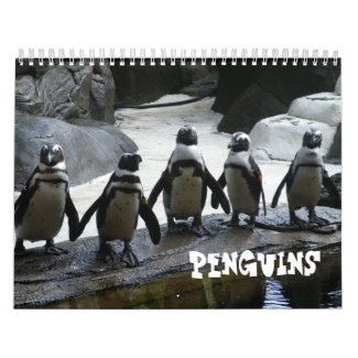 Photography Penguin Calendar calendar