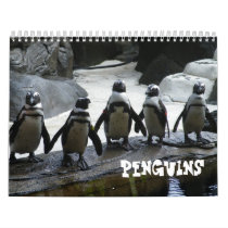 Photography Penguin Calendar by lesrubadesigns Photography Penguin Calendar