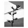 photography photoenlargement