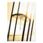 photography photoenlargement