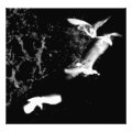 photography photoenlargement