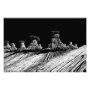photography photoenlargement