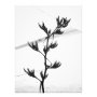 photography photoenlargement