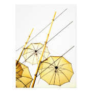 photography photoenlargement