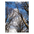 photography photoenlargement