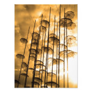 photography photoenlargement