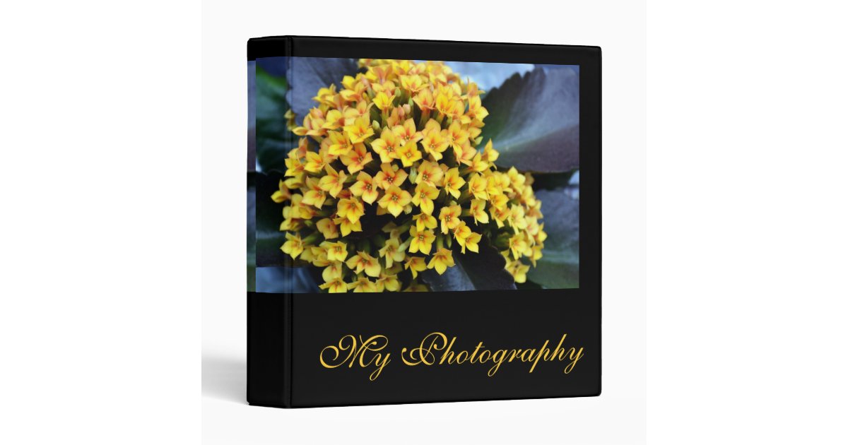 Photography Portfolio Binder Zazzle