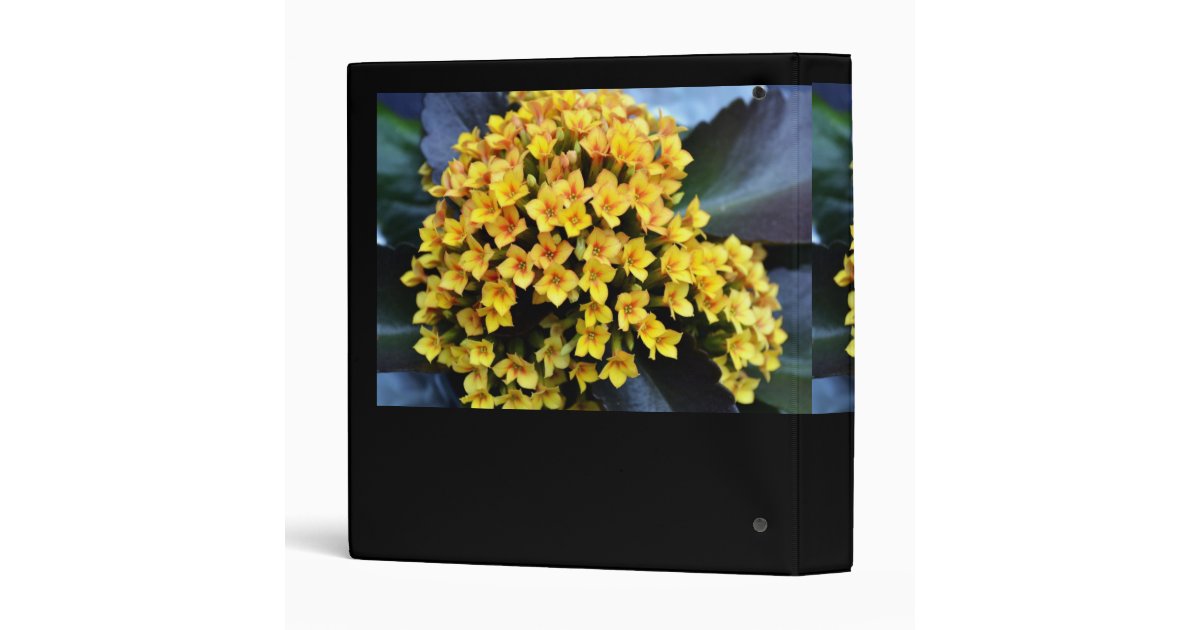 Photography Portfolio Binder Zazzle