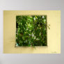 photography poster