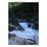 Photography Products Card