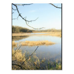 Photography Products Post Card
