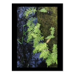 Photography Products Post Cards