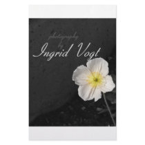photography stationery