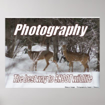 Photography, the best way to SHOOT wildlife