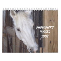 PhotoPicks 2008 Horses Calendar