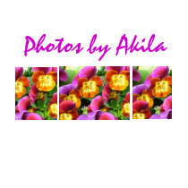 Photos by Akila t-shirts by akilamoore Photos by Akila t-shirts