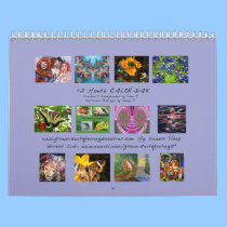 Photos, Fractals & Watercolors Wall Calendar calendars