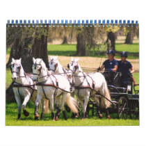 photos from live oak cde 2010 calendar