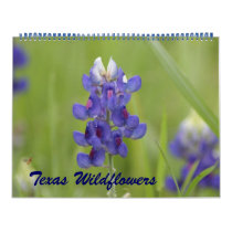 Photos of North Central Texas Wildflowers Calendars