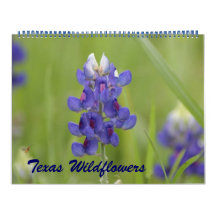 Photos of North Central Texas Wildflowers Calendars