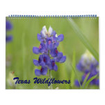 Photos of North Central Texas Wildflowers Calendars
