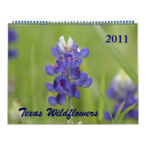Photos of North Central Texas Wildflowers Calendars