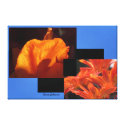 Photos on Canvas - Orange Flowers Gallery Wrapped Canvas