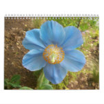 Photos taken at Chanticleer garden
