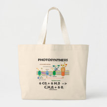 Photosynthesis (Carbon Dioxide + Water) Bags