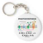 Photosynthesis (Carbon Dioxide + Water) Key Chains