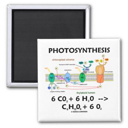 Photosynthesis (Carbon Dioxide + Water) Fridge Magnet