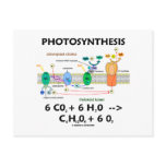 Photosynthesis (Carbon Dioxide + Water) Post Card