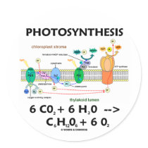 Photosynthesis (Carbon Dioxide + Water) Round Sticker