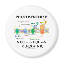 Photosynthesis (Chemical) Formula Fridge Magnets