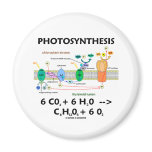 Photosynthesis (Chemical) Formula magnets