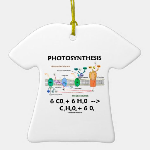 chemical equation for photsynthesis chemical equation for photsynthesis