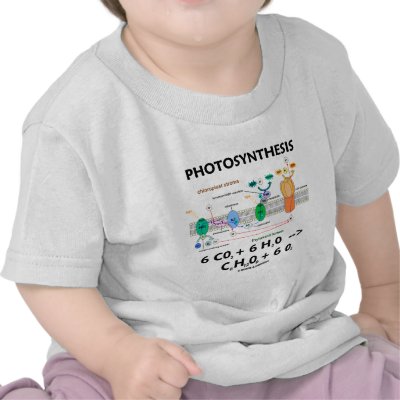 photosynthesis formula. Photosynthesis (Chemical) Formula Tshirts by wordsunwords