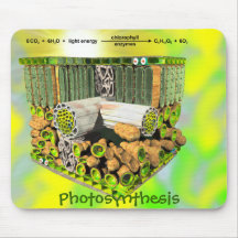 Photosynthesis mousepad